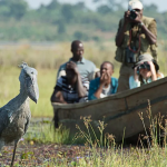 Pearl of Africa Discovery Tour – 2025 Edition