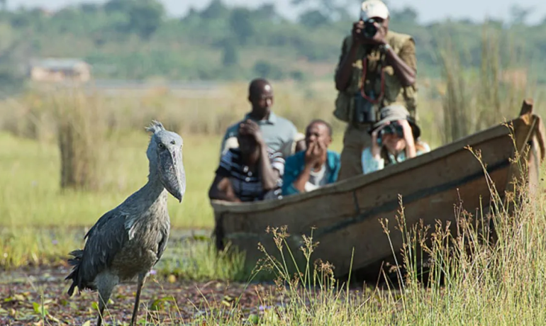 Pearl of Africa Discovery Tour – 2025 Edition