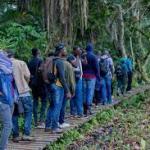 Pearl of Africa Discovery Tour – 2025 Edition