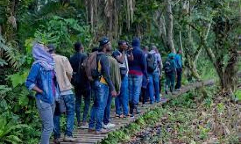Pearl of Africa Discovery Tour – 2025 Edition